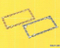 License Frame