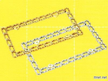 License Frame